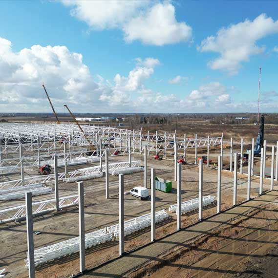 The Roof